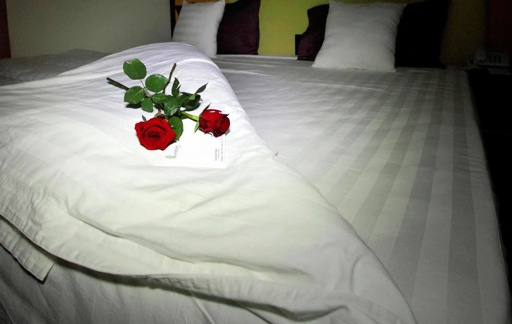 ****  Lavender Home Hotel Beirut Lebanon